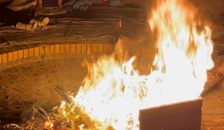 Niveau 3 | Le Chemin sans chemin | La femme sauvage・L'homme sauvage